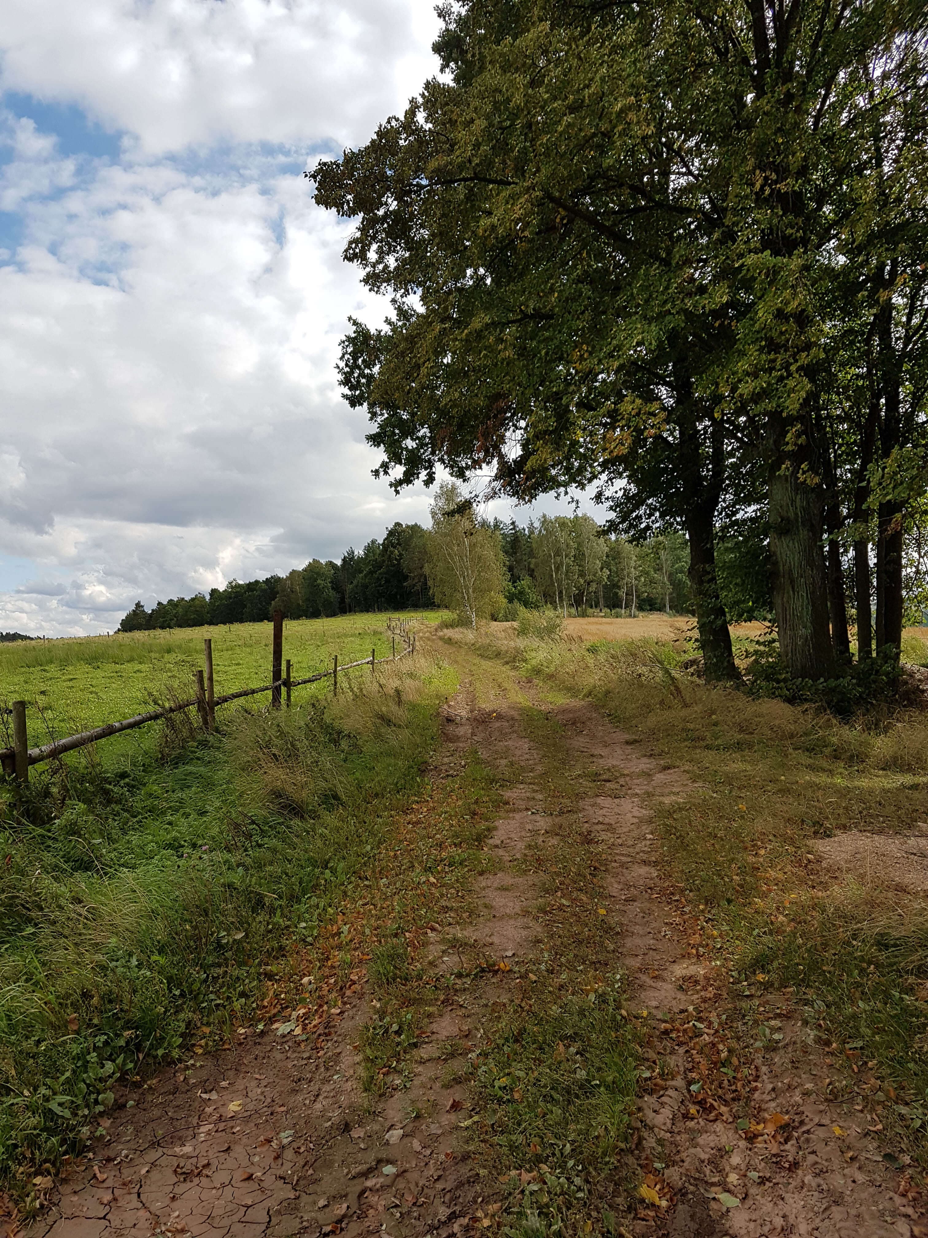 Boswandelingen in de Bobrvallei