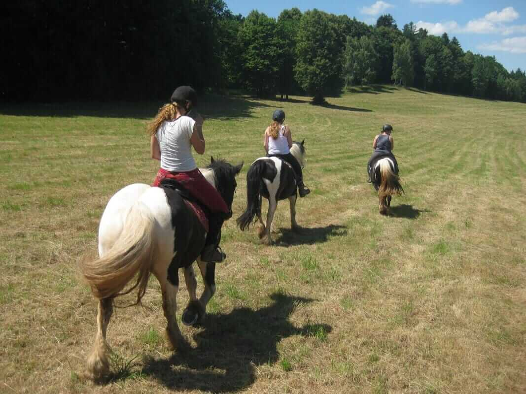 Изображение WhatsApp 2023-12-20 в 14.37.46_d5e19874.jpg