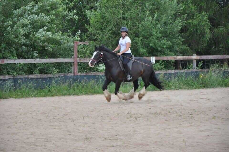 Изображение WhatsApp 2023-12-20 в 14.38.08_fce294e1.jpg