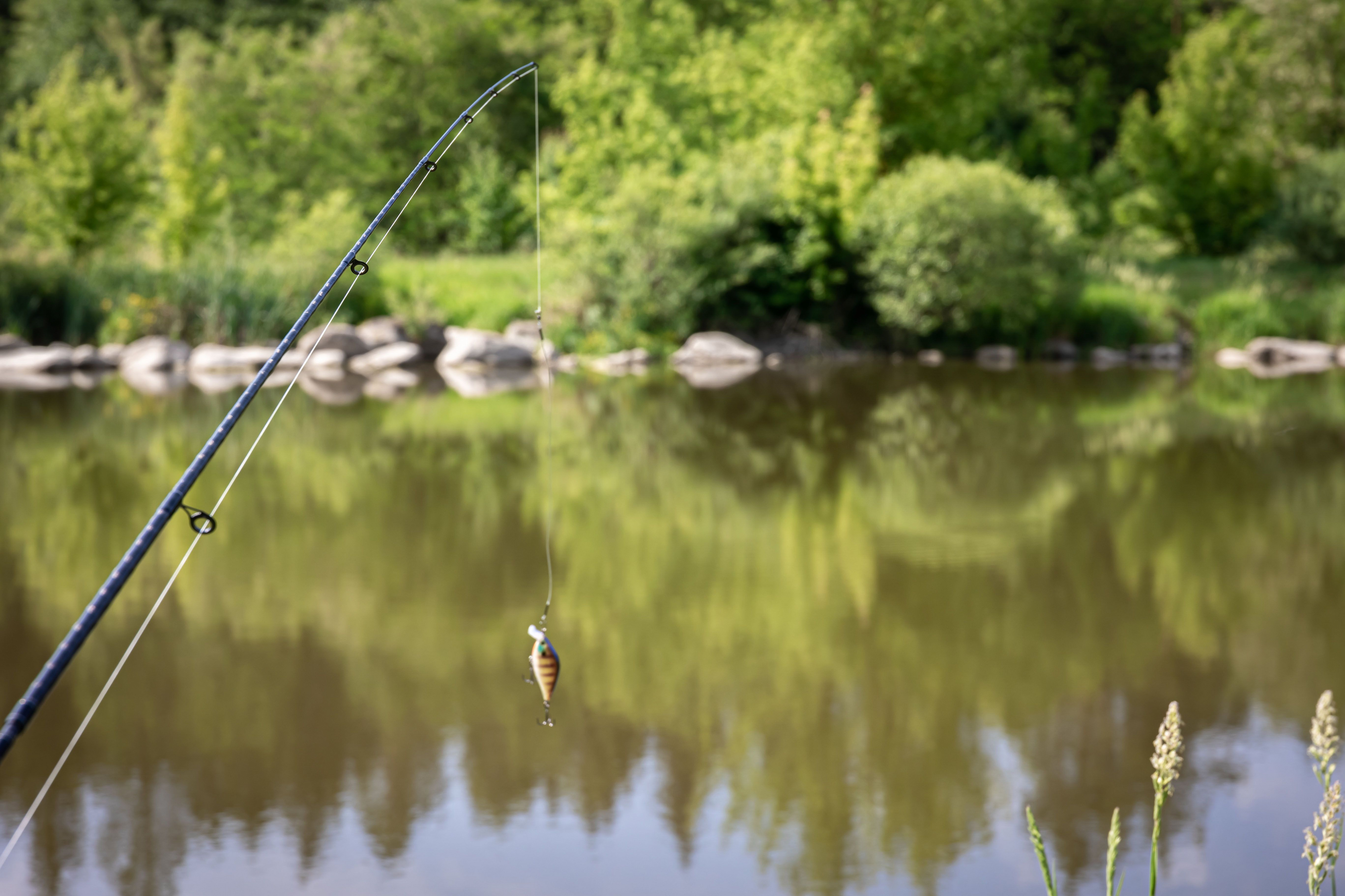 fishing-2.jpg
