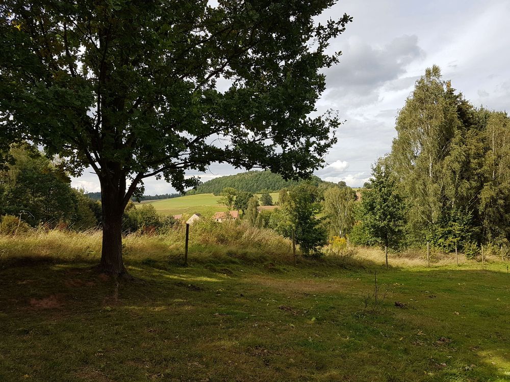 20170915_143245.jpg
