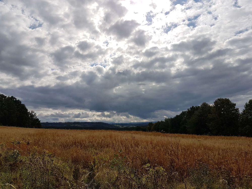 20170915_144043.jpg