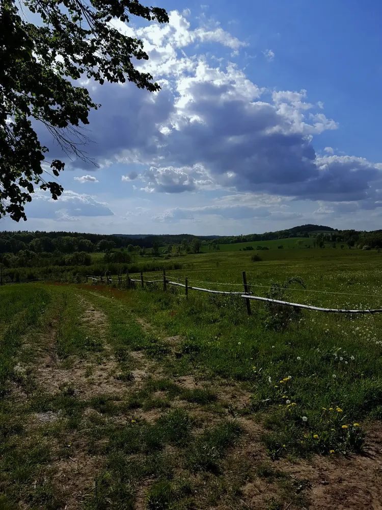 nature-10.webp