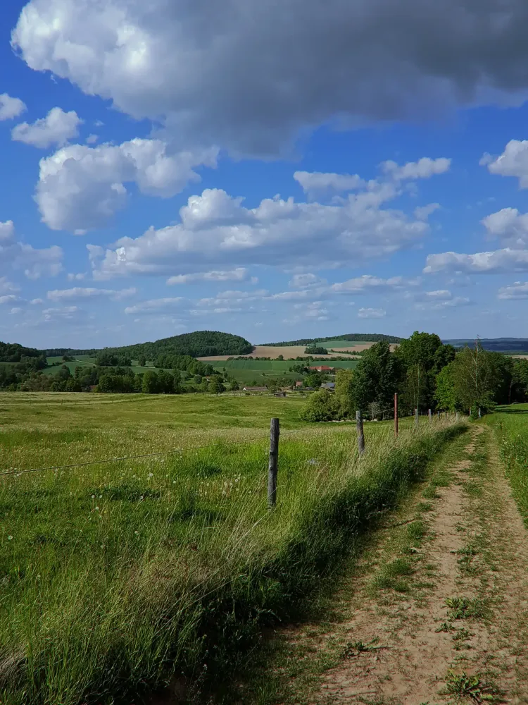 nature-9.webp